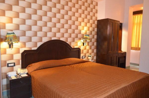 Hotel Maharani Plaza Jaipur Habitación foto